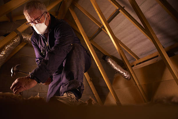 Best Insulation Installation Services in Ajo, AZ